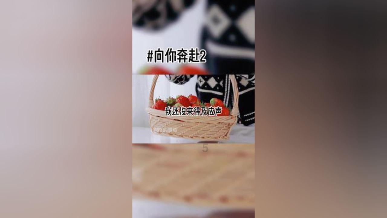 逃出漂亮花谷